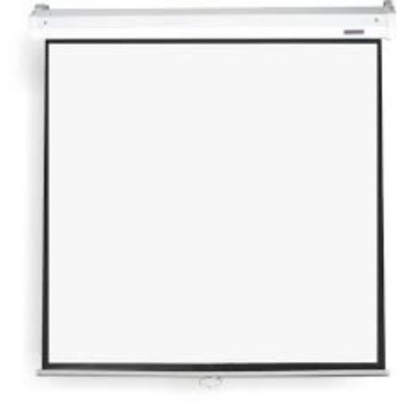 SCREEN PULLDOWN 2130X2130 PARROT